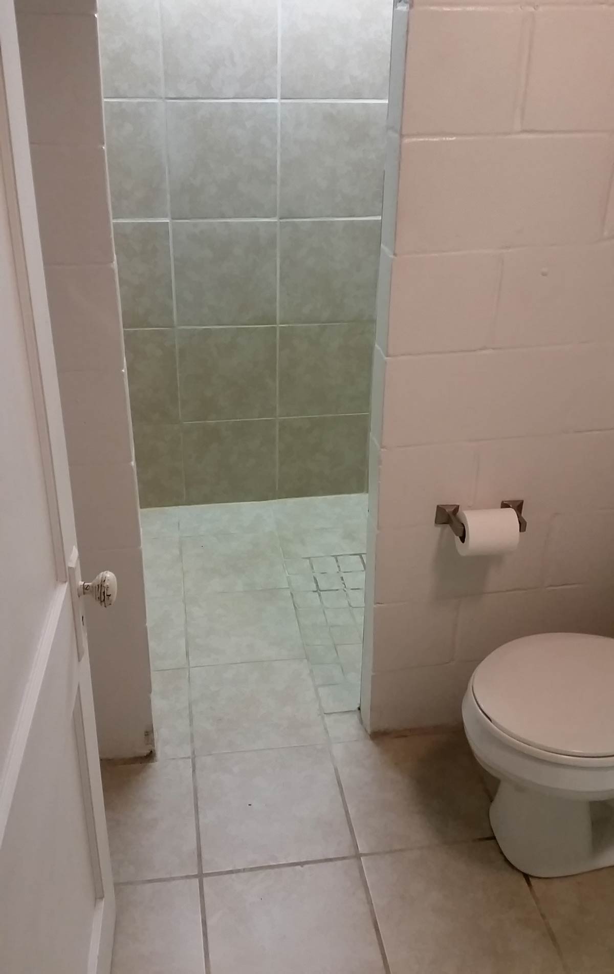 3107 Lincoln Way - bathroom and walk in shower in finished basement